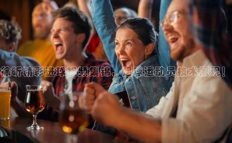 乐虎一官方网站入口美团徐昕精彩进球视频集锦，足球运动员技术展现！