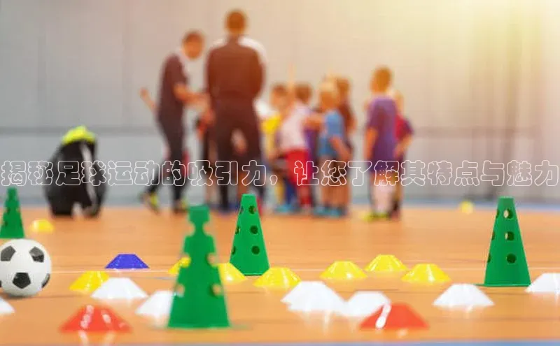 国际乐虎vip官网下载顺丰揭秘足球运动的吸引力，让您了解其特点与魅力