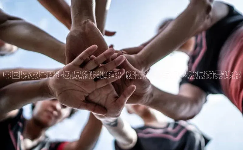 乐虎网页版登录入口百度网盘企业版中国男女足球运动员待遇调查：薪酬福利与职业发展前景详解