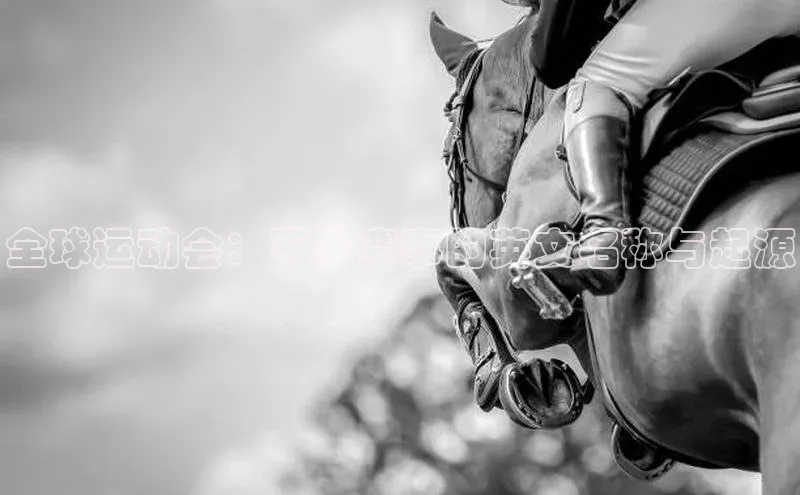 乐虎唯一官网入口百度翻译App全球运动会：不同赛事的英文名称与起源