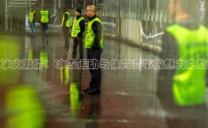 乐虎子国际唯一百度学术冰火激情：冰雪运动与体育赛事的魅力之旅