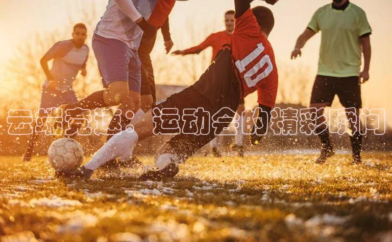 乐虎唯一登录梯哥哥科技云端竞速：运动会的精彩瞬间