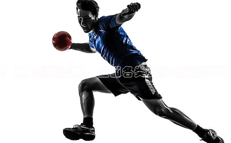 ：从田径到篮球，全面各类赛事与运动项目