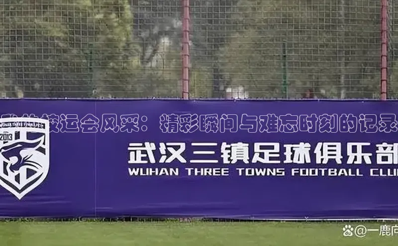 我的校运会风采：精彩瞬间与难忘时刻的记录