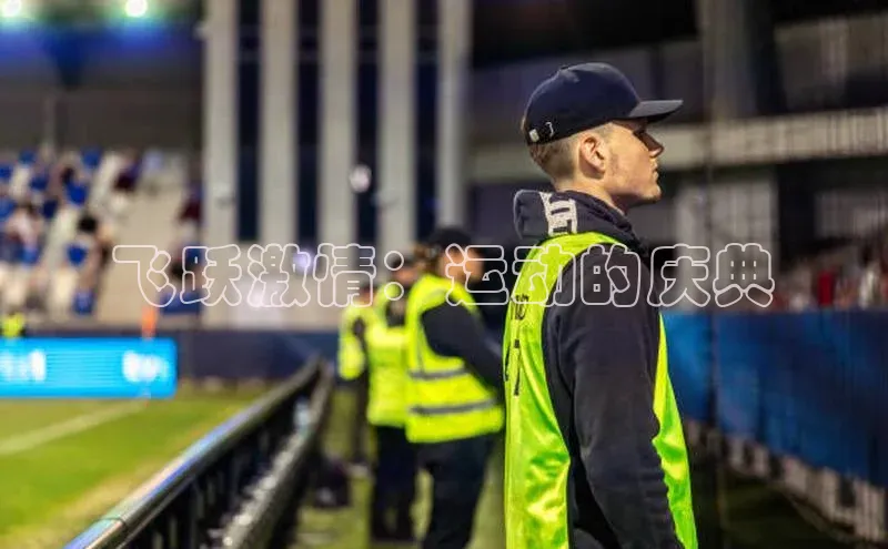 飞跃激情：运动的庆典