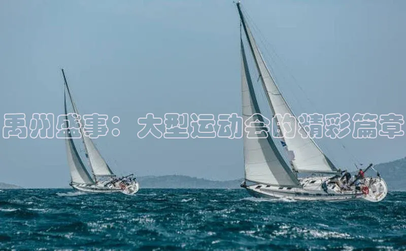 禹州盛事：大型运动会的精彩篇章