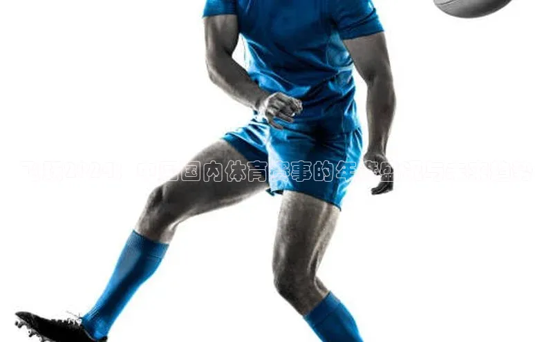 飞跃2024：中国国内体育赛事的年度盛况与未来趋势