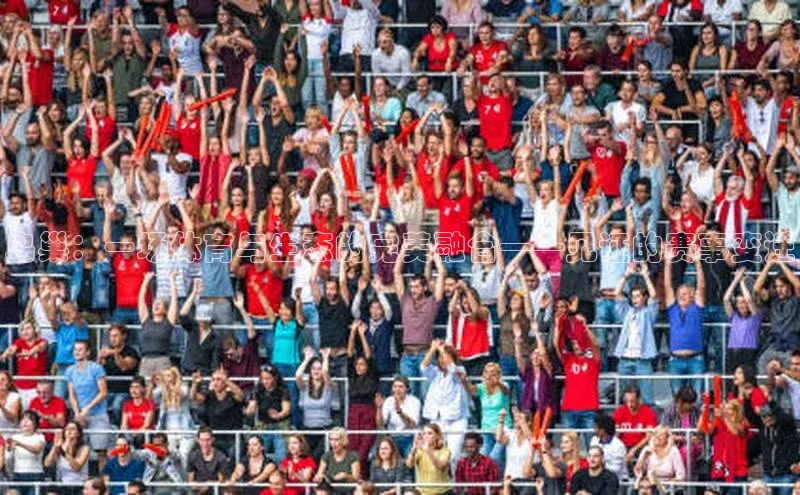 鸟巢：一场体育与生态的完美融合——见证的赛事变迁