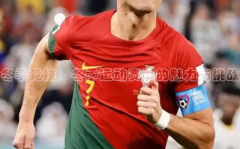 冬季竞技：冬季运动赛事的魅力与挑战