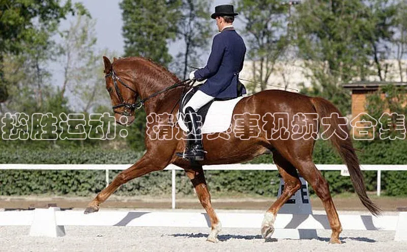 揽胜运动：精选赛事视频大合集