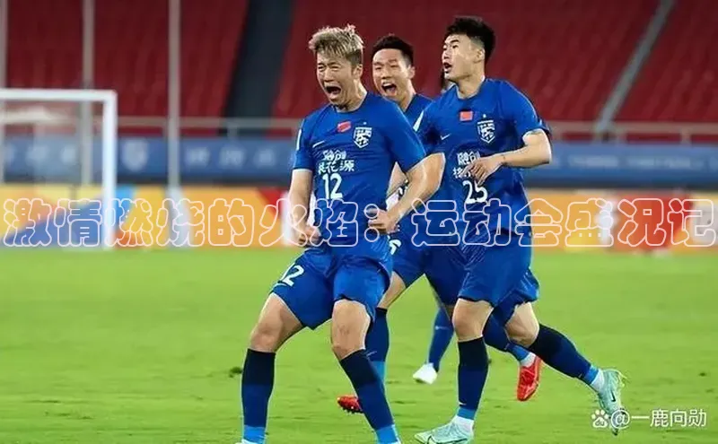 激情燃烧的火焰：运动会盛况记