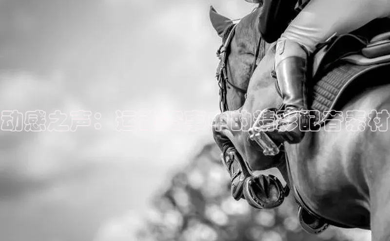 动感之声：运动赛事中的精彩配音素材