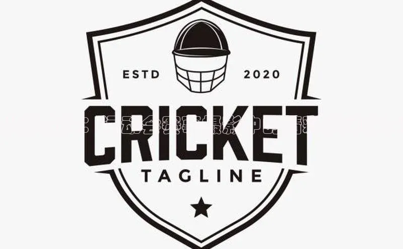 光影竞技：运动会赛事摄影中的精彩瞬间捕捉