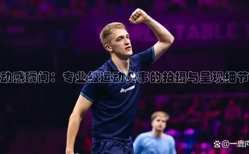 乐虎网页版登录入口